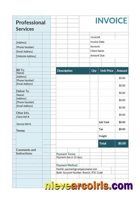 Professional Services Invoice